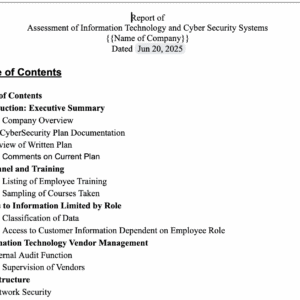 Stand-Alone Cyber/IT Security Compliance Audit and Report